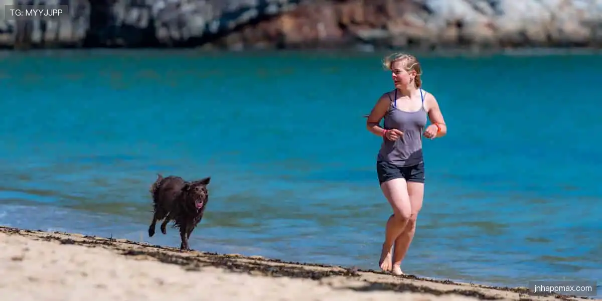 🎮 一键开启，畅享沉浸式体验！🌟